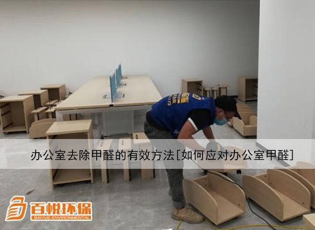 辦公室去除甲醛的有效方法[如何應(yīng)對辦公室甲醛]